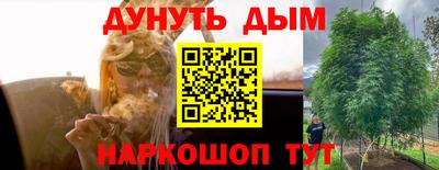 хмурый Бердск