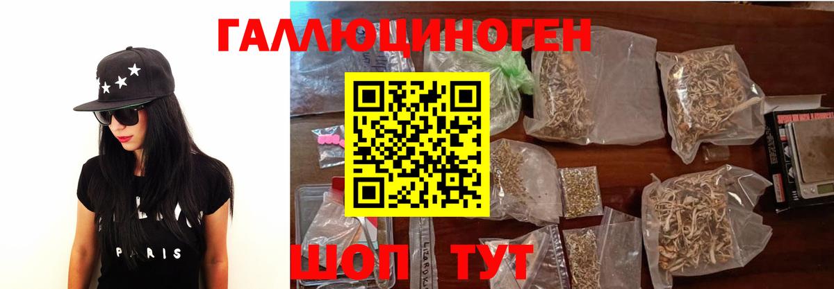 Губкин  Псилоцибиновые грибы Psilocybe  Вход с VPN 